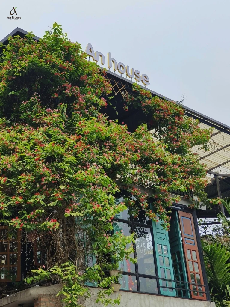 Chữa lành tâm trí tại An House